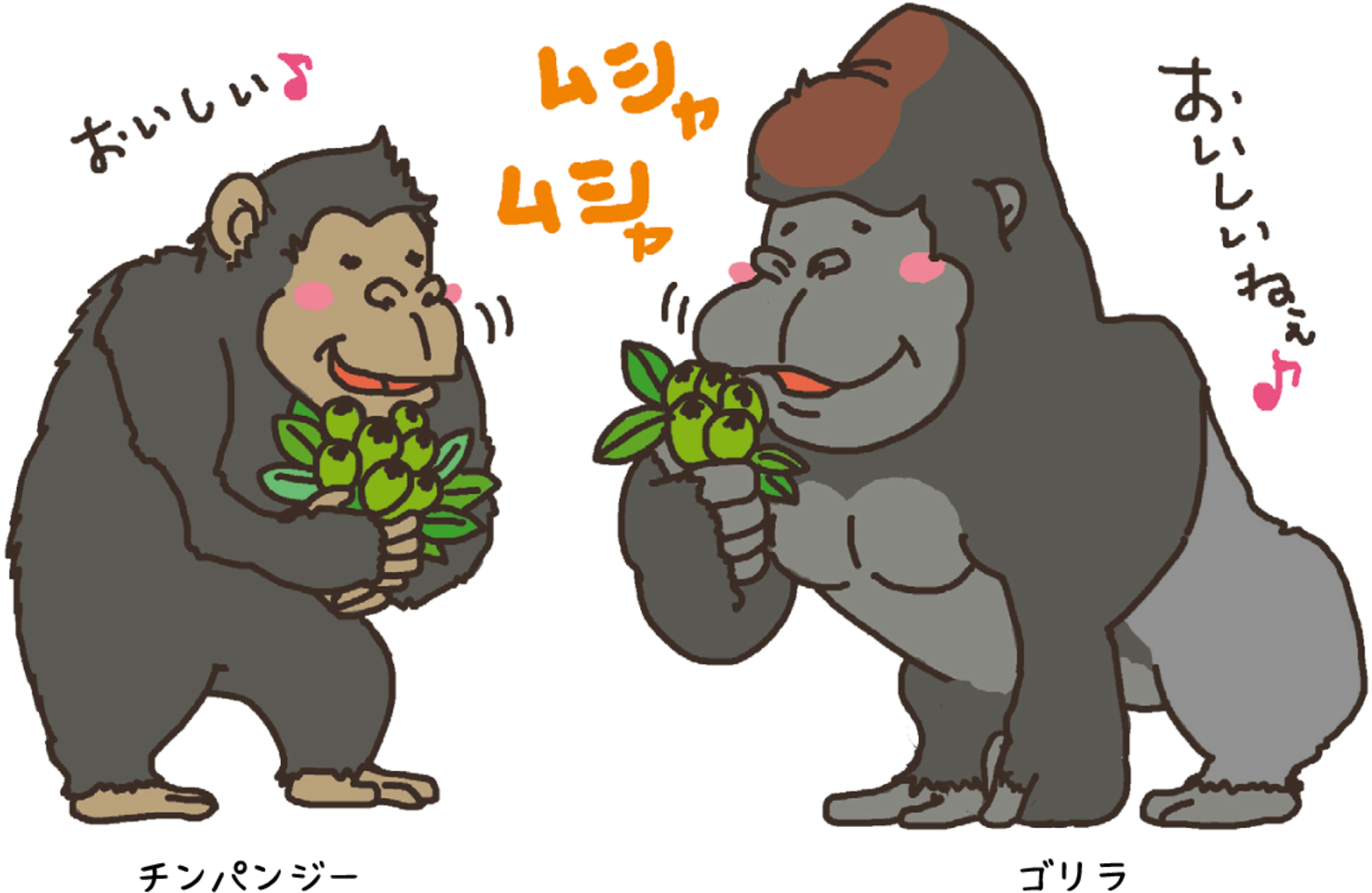 ゴリラとチンパンジー どっちが強い 日本最大級のオーディオブック配信サービス Audiobook Jp