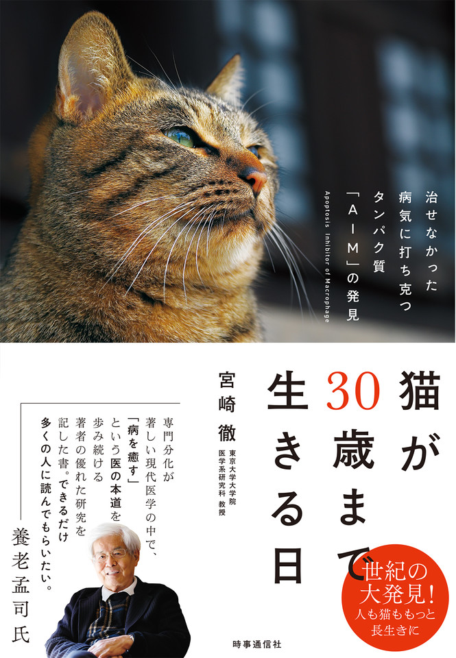 不調が治った日にきた、細くて綺麗な猫目ルチルたん！ 猫が30歳まで生きる日 治せなかった病気に打ち克つタンパク質