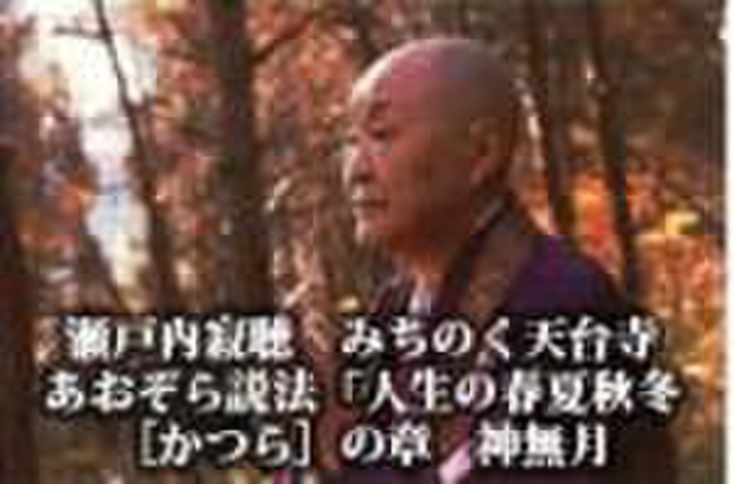 瀬戸内寂聴 みちのく天台寺あおぞら説法「人生の春夏秋冬」 [かつら]の