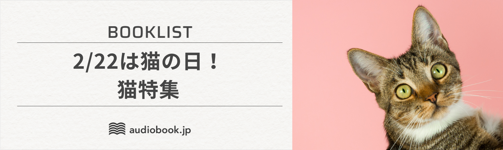 2/22は猫の日！猫特集