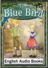 The Blue Bird　KiiroitoriBooks Vol.35