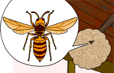 身近で一番危険な生物スズメバチのお話