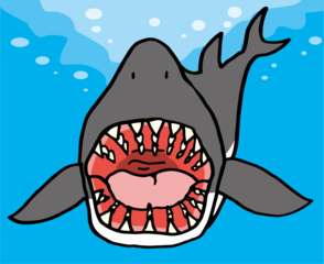 サメは虫歯にならない！