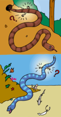 ヘビはなぜ手足がないの？