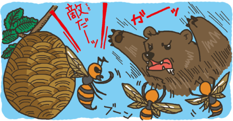 ハチの毒が強いのはなぜ？