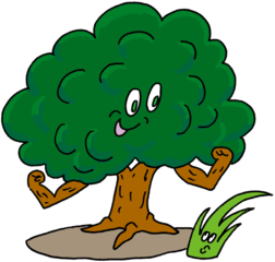 木はどうして大きい体を支えられるの？
