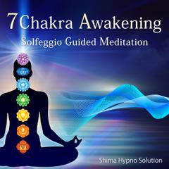 7 Chakra Awakening [Solfeggio Guided Meditation]