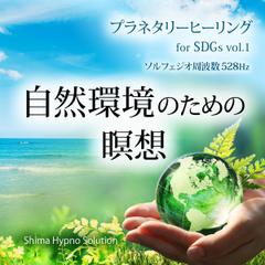 プラネタリーヒーリング for SDGs vol.1 自然環境のための瞑想