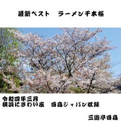 最新ベスト　ラーメン千本桜（令和4年3月横浜にぎわい座白鳥ジャパン収録）