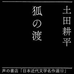 狐の渡（日本近代文学名作選（12））