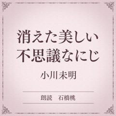 消えた美しい不思議なにじ（小学館の名作文芸朗読）