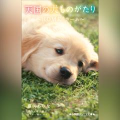 天国の犬ものがたり～HOME ホーム～ （小学館ジュニア文庫）