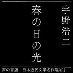 春の日の光（日本近代文学名作選19）