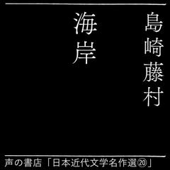 海岸（日本近代文学名作選20）