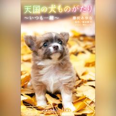 天国の犬ものがたり～いつも一緒～ 小学館ジュニア文庫