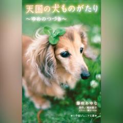 天国の犬ものがたり～ゆめのつづき～ （小学館ジュニア文庫）