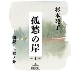 孤愁の岸　（上）