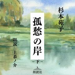 孤愁の岸（下）