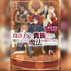 [3巻]没落予定の貴族だけど、暇だったから魔法を極めてみた3