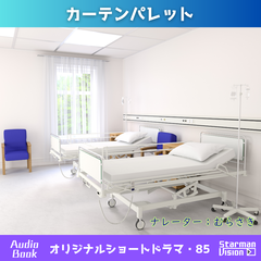 ショートドラマ85「カーテンパレット」