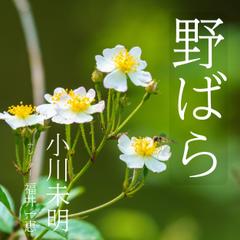 野ばら