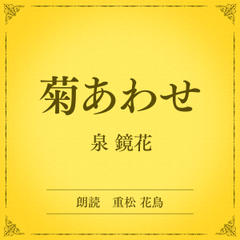 犬養孝「万葉集」 大伴家持／越中の家持 | 日本最大級のオーディオ