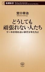 どうしても頑張れない人たち―ケーキの切れない非行少年たち2―
