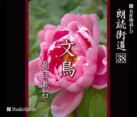 朗読街道「文鳥」
