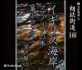朗読街道「マグノリアの木」