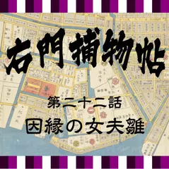 右門捕物帖　22　因縁の女夫雛