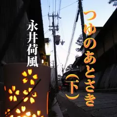 つゆのあとさき（下）－谷崎潤一郎も激賞した昭和初期風俗小説
