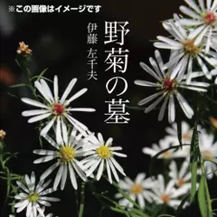 野菊の墓