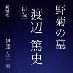 野菊の墓