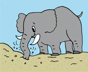 ゾウは塩が大好きってほんとう？