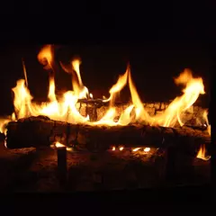 3つの小屋の物語／毛のないルーシー