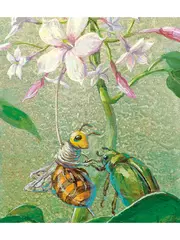 ミツバチのマーヤ