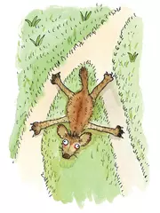 決められなかったハイエナ