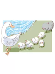 みにくいアヒルの子