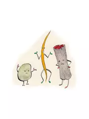 わらと炭とそら豆