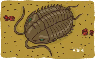 最初に目をもった生き物はなんだ？