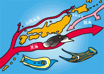 海を渡る一方通行の旅行客