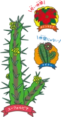 サボテンのようでサボテンではない植物