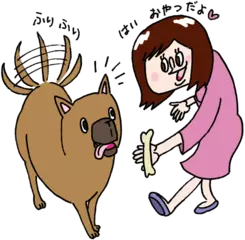 イヌならではのボディランゲージのふしぎ