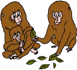 ニホンザルの女の子は、ままごとが好き