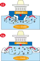 国境を越えてやってくる貝のお話