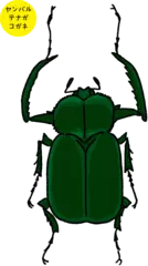 新種ってどこで見つかる？