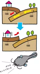 地震はなぜ起こる？