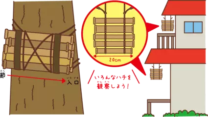 竹筒トラップをしかけてみよう