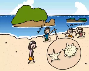 島を作る小さな生き物、ホシズナ