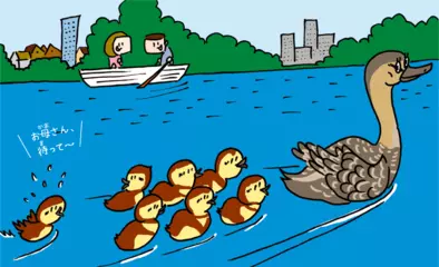 何回も結婚する鳥のひみつ！